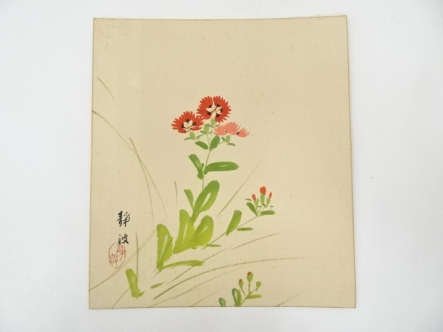 静波筆　撫子図　肉筆色紙